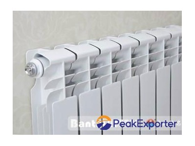 Cast steel-aluminum central water heating radiator GLYZ8-8/5