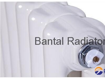 Elliptical steel tube radiator for central water heating GGZ2-A-600