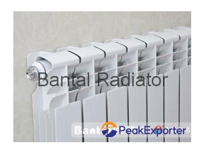 Bimetellic central heating radiator GLYZ9-8/5