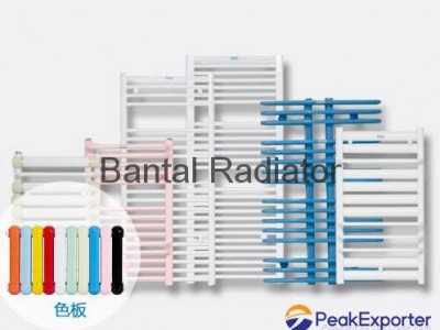 Bathroom radiator for central water heating with towel rack GGZHC