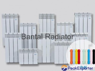 Steel-aluminum casting radiator for central heating GLYZ8-8/6