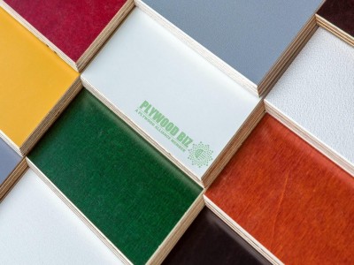 Poplar/Combi/Hardwood/Birch Core Film Faced Plywood