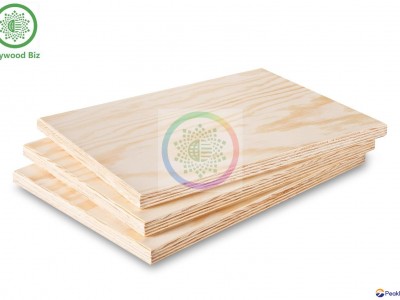 CDX Pine Plywood/Contrachapado de pino CDX