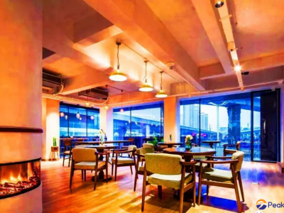 Economic Stock SD fireplace series & Job in Kowloon Tong