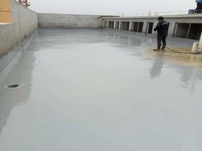 Pure 100% polyurea coating waterproof coating