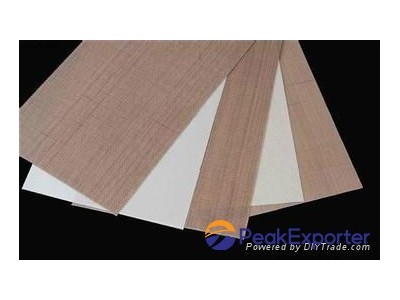 PTFE glass cloth (PTFE coated fiberglass fabric)