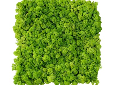 Flameproof MaterialSM Panel: [Medium green 70]