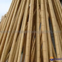 bamboo cane,pole,stake