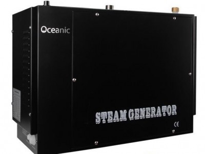 Sauna Steam Generator for Sauna SPA Shower Home Bath