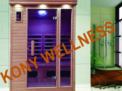 Combined heater dry sauna