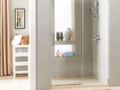 Big-roller shower door