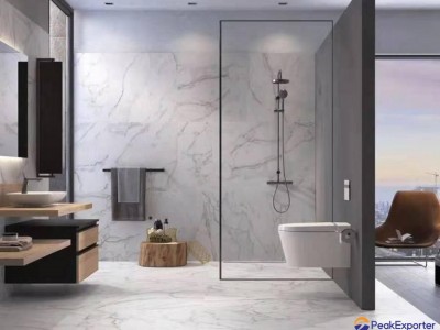 Slimline Frameless Rectangle Shower Enclosure With Pivot Door AB 1242-1 china