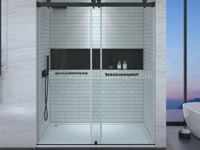 Bypass Double Slider Doors Glass Shower Enclosure