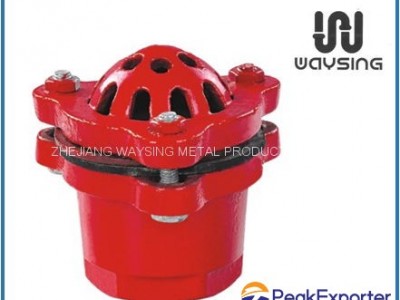 FOOT VALVE