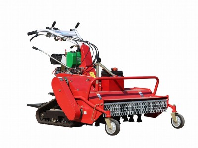 orchard crawler type diesel engine flail mower