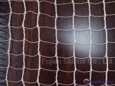 Square Nets(Side Nets)