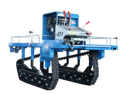 Pineapple fruit harvesting transporter