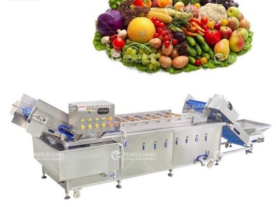 WA-2000 Vegetables Washing Machine