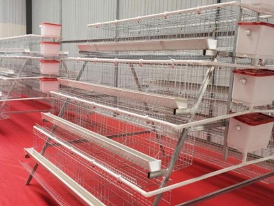 4 Tiers 5 doors 160 Birds Chicken Cage