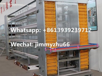 Chicken Cage Supplier H Type 160Birds Automatic Battery Chicken Cage System