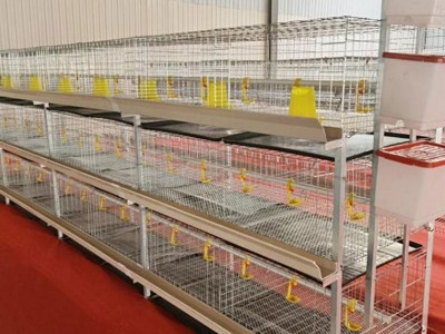 H type chicken broiler cage