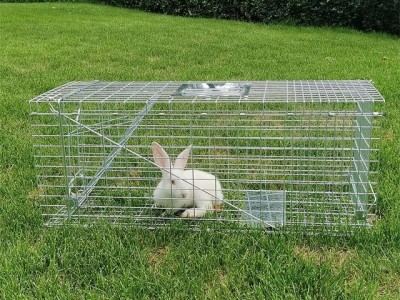 Pest controls rat trap cage collapsible mouse squirrel possum trap cage
