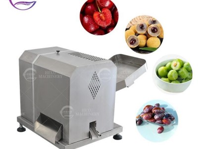 Desktop Cherry Kernel Removing Machine Cherry Pitting Machine
