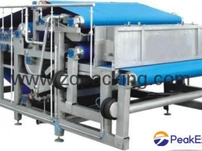 high quality belt type juicing machine