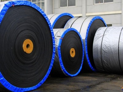 Abrasion resistant conveyor belt