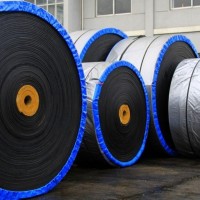 Abrasion resistant conveyor belt