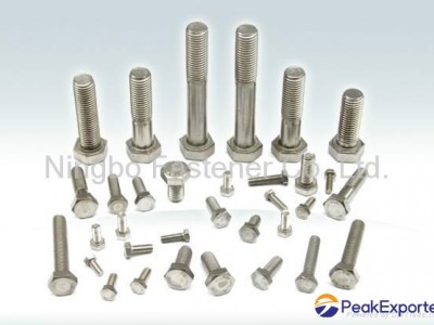 Stainless steel hex bolts