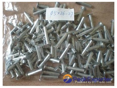 Rivets PR-002