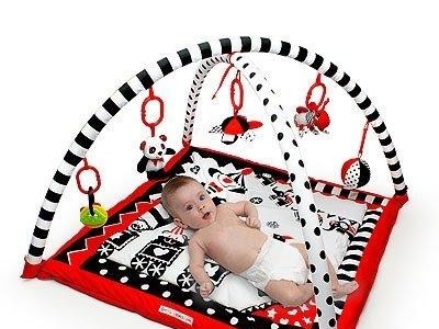 Baby Black, White & Red Activity Play Mat