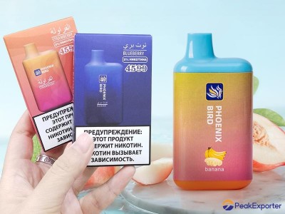 Powerful factory Disposable VAPE pen 10ml 4500 puffs new flavor customized e-cig