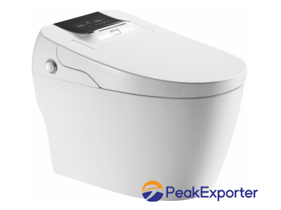 All-in-one intelligent toilet seat