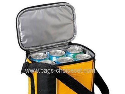Cooler Bag