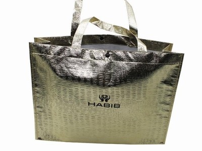 Custom Pictures Printing Laminated Reusable PP Non Woven Grocery Shopping Bag