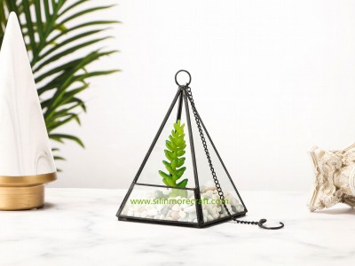 Decorative Terrarium