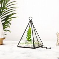 Decorative Terrarium