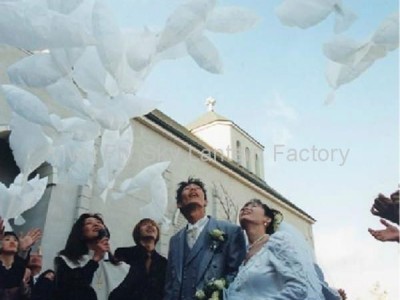 white dove shaped wedding balloons PE Biodegradable Dove balloons for wedding
