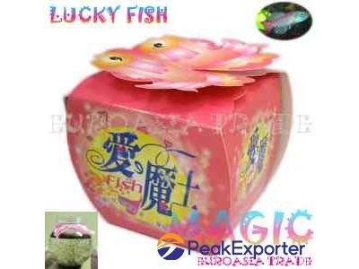 Lucky Fish
