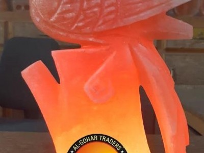Himalayan Glowing Fancy Salt Lamps