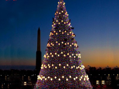 Outdoor giant waterproof Christmas tree with led lights