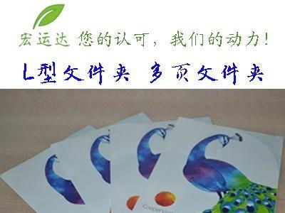 PP a4 folders wholesale L-type folder