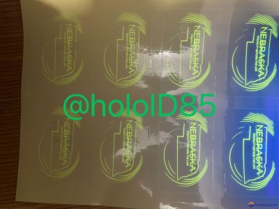 US Nebraska DL overlay hologram