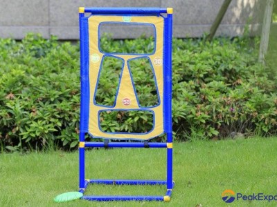 Bag Toss Game