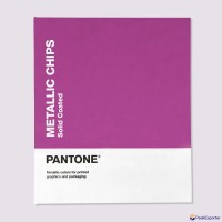 2023NEW_METALLIC CHIPS BOOK