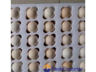 Professional pearl cotton inner tray egg packaging inner tray fireproof pearl co