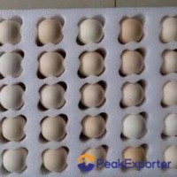 Professional pearl cotton inner tray egg packaging inner tray fireproof pearl co