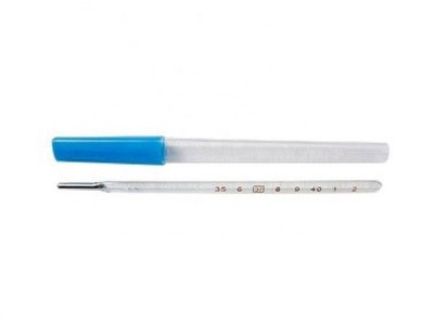 Mercurial Thermometer